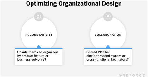 Management Structure Types 的图像结果