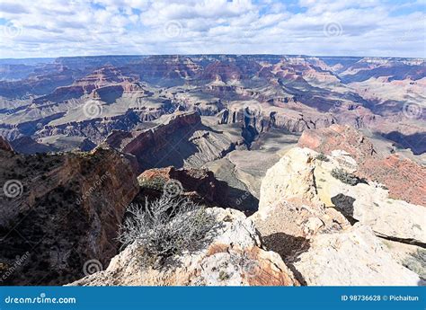 River 的图像结果