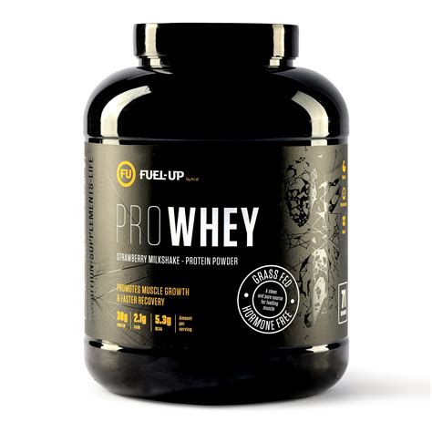 Avvatar Whey Protein | DesertCart