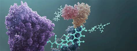 Image result for Orbitrap Mass Spectrum