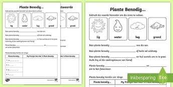 Wat plante nodig het om te groei - Lewe & Lewende Dinge - Graad 4