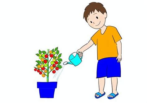 Image result for Software Development Project Management