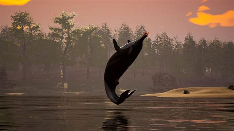 Image result for Ankylorhiza Minecraft Tutorial