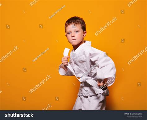 30,360 White Karate Belt Images, Stock Photos & Vectors | Shutterstock