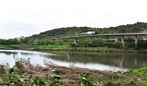 E. coli in eThekwini: What is it and where does it come from before ending up on our beaches?