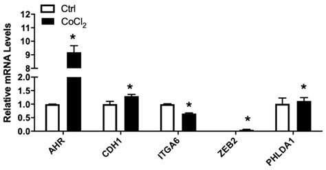Transcriptomic Analysis of LNCaP Tumor Xenograft to Elucidate the ...