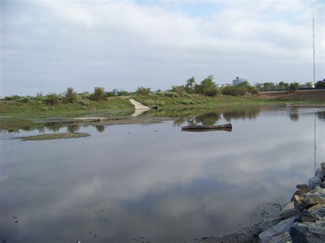 OC Birder Girl: San Joaquin Wildlife Sanctuary and Mason Regional Park