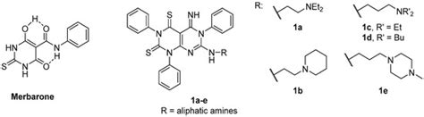 Bicyclic Basic Merbarone Analogues as Antiproliferative Agents