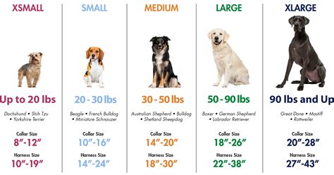 Dog Collar Size Chart By Breed
