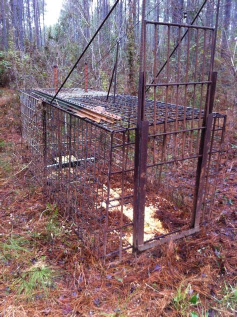 Hog Trap Shooting 的图像结果