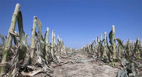 USDA Expands Drought Disaster Zones Across U.S. | Climate Central