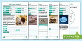 What is a Rockpool? - Twinkl