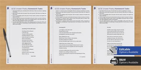 GCSE Unseen Poetry Homework Tasks Pack