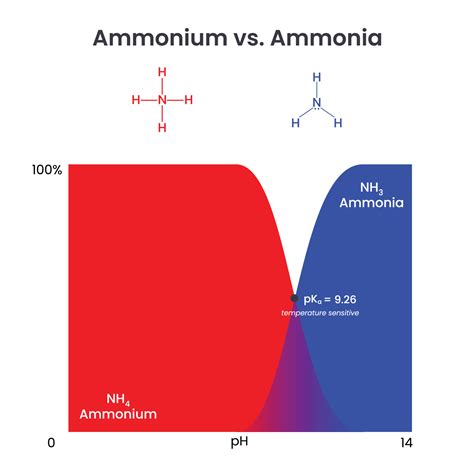 Ammonium Versus Ammonia Comparison science vector illustration graphic ...