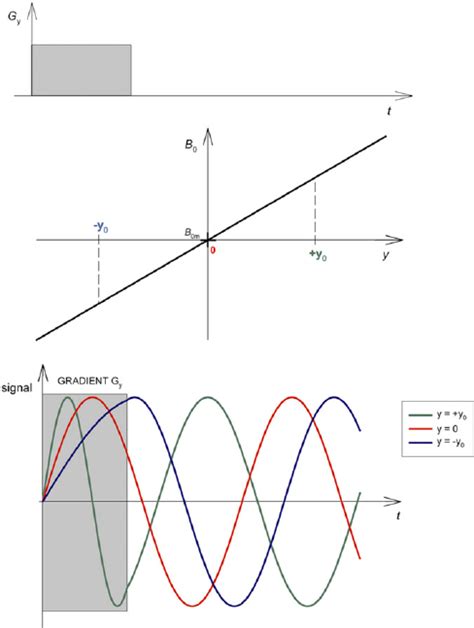 Frequency vs Phase Encoding 的图像结果