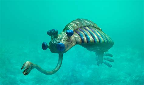 Opabinia Facts | Cambrian Explosion Animals | DK Find Out