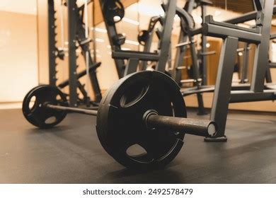 Weight Lifting Gym 的图像结果