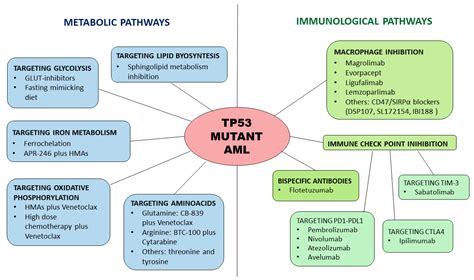 TP53 Mutant Acute Myeloid Leukemia: The Immune and Metabolic Perspective