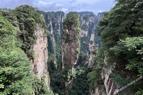 Avatar China 的图像结果