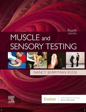Buy MUSCLE AND SENSORY TESTING : 4TH EDITION Book Online at Low Prices ...