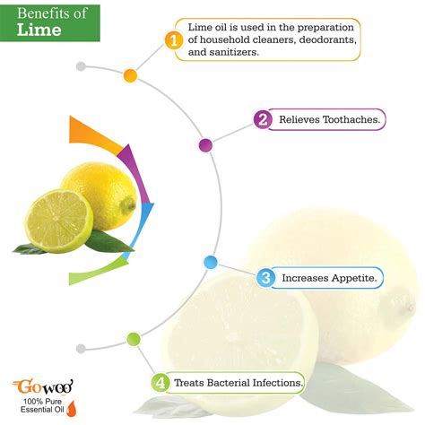 Buy GO WOO 100% PURE LIME - DISTILLED OIL VIRGIN & UNDILUTED 30 ML ...