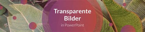 Bilder in PowerPoint transparent machen (2022) | SlideLizard®