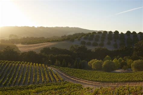 California 'Family-Friendly' Wineries - Discover California Wines