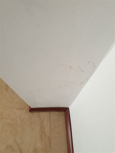 City Park Hotel Apartments Rooms: Pictures & Reviews - Tripadvisor