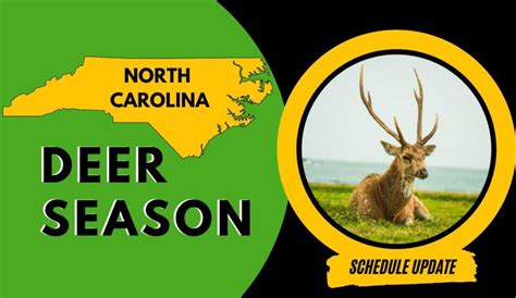 Hunting Season In Western Nc at Sara Wentworth blog