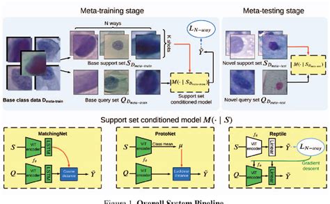 Image result for Vision Encoder/Decoder Model for Image to Text