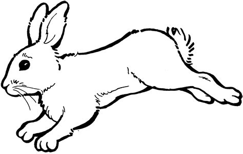Rabbit bunny clipart black and white free clipart images 2 - Clipartix