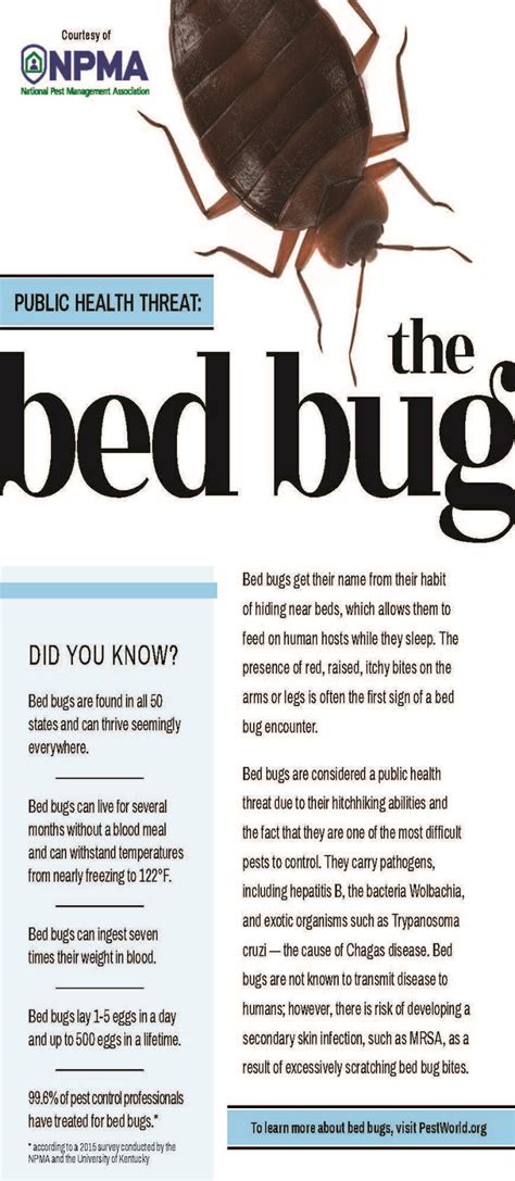 Image result for Bug Pest Control Tips