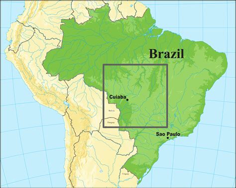 Brazil Birding Tour with FIELD GUIDES: Alta Floresta and Pantanal