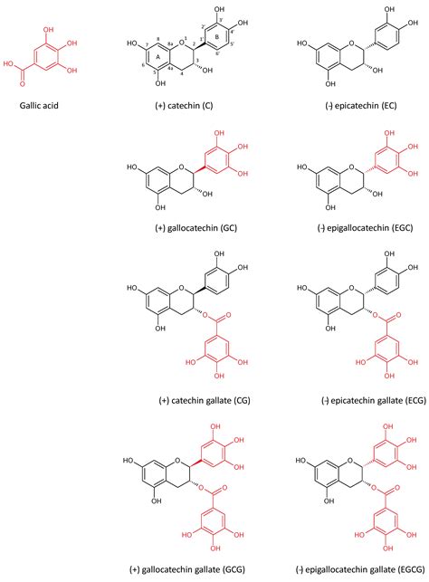 Epigallocatechin Gallate: A Review of Its Beneficial Properties to ...