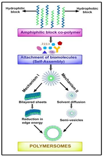 Fabrication of Polymersomes: A Macromolecular Architecture in ...