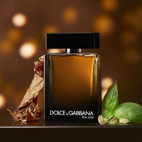 DOLCE & GABBANA THE ONE