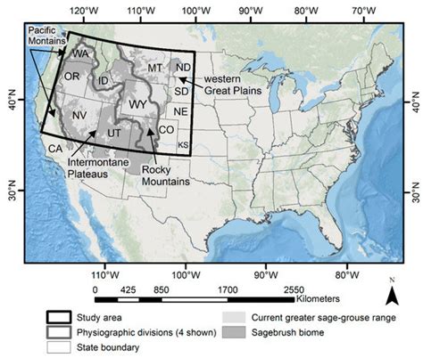 Spatial Estimates of Soil Moisture for Understanding Ecological ...
