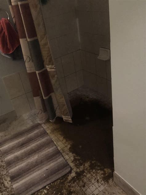 FML Bathroom 的图像结果