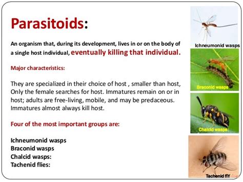 Biological Control Examples 的图像结果