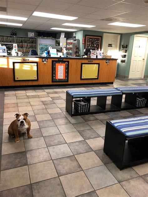 Uxbridge Animal Hospital - 510 Hartford Ave W Building D, Uxbridge, MA ...