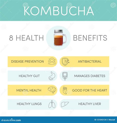 Health Benefits Of Kombucha Royalty-Free Stock Image | CartoonDealer.com #121043134