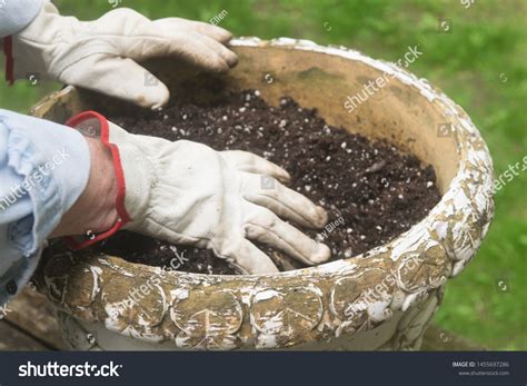 Person Digging Mixing Potting Soil Dirt Stock Photo 1455697286 ...