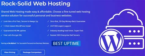 BanaHosting Expert Review 2026 and 4 User Reviews