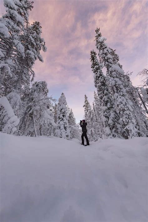 Environment Camera 的图像结果