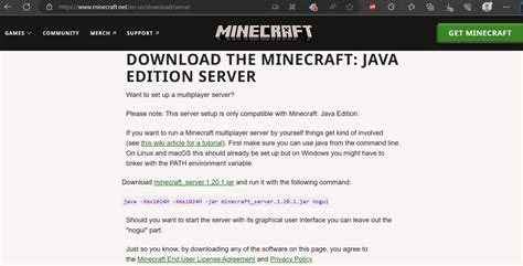 Why Can't I Play Multiplayer On Minecraft Java 的图像结果