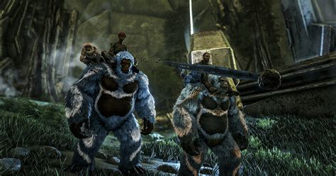 Как исправить ошибку сети (Network failure message: unable to query ...