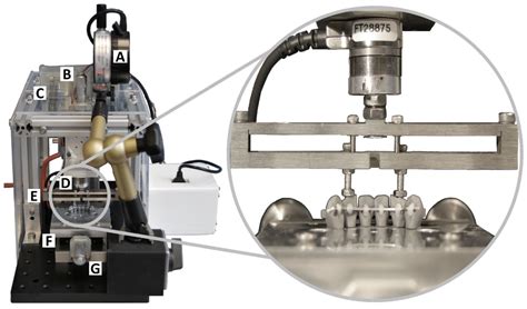 In Vitro Investigation Using a New Biomechanical Force–Torque Analysis ...