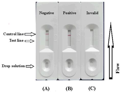 Sensors | Special Issue : Nanoparticle-Based Biosensors