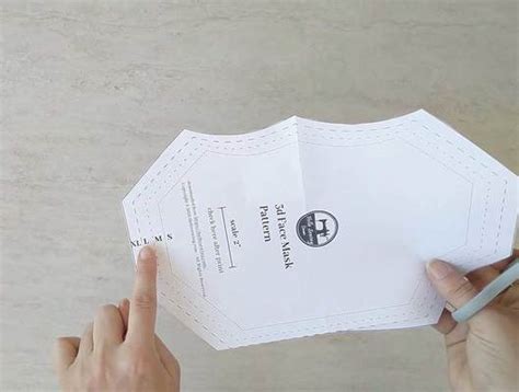 Image result for Quick Simple 3D Face Masks