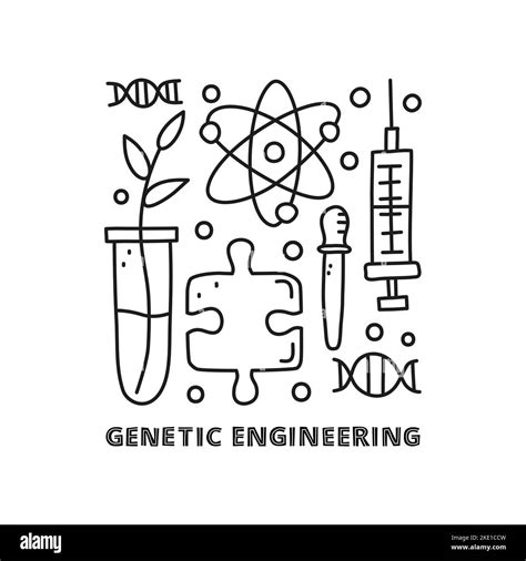 Image result for Genetic Engineering Process Diagram